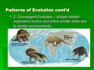 BIology_Evolution-Mechanisms-17-18-2.ppt