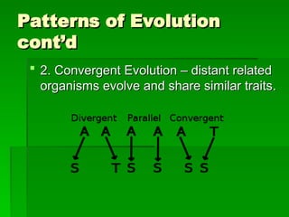 BIology_Evolution-Mechanisms-17-18-2.ppt