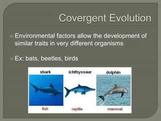  Environmental factors allow the development of
similar traits in very different organisms
 Ex: bats, beetles, birds
 