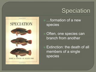  …formation of a new
species
 Often, one species can
branch from another
 Extinction: the death of all
members of a single
species
 