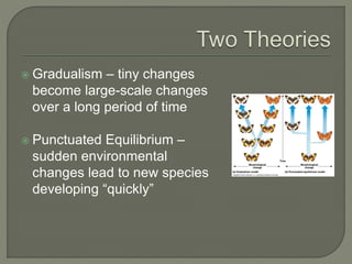  Gradualism – tiny changes
become large-scale changes
over a long period of time
 Punctuated Equilibrium –
sudden environmental
changes lead to new species
developing “quickly”
 