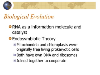 Biological Evolution RNA as a information molecule and catalyst Endosymbiotic Theory Mitochondria and chloroplasts were originally free living prokaryotic cells Both have own DNA and ribosomes Joined together to cooperate 