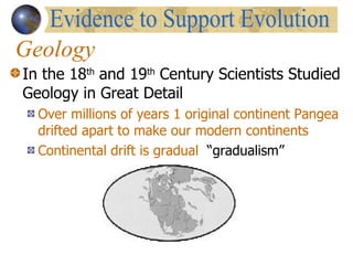 Geology In the 18 th  and 19 th  Century Scientists Studied Geology in Great Detail Over millions of years 1 original continent Pangea drifted apart to make our modern continents Continental drift is gradual   “gradualism” Evidence to Support Evolution 