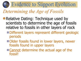 Determining the Age of Fossils Relative Dating: Technique used by scientists to determine the age of fossils relative to fossils in other layers of rock Different layers represent different geologic periods  Older fossils found in lower layers, newer fossils found in upper layers Cannot  determine the actual age of the fossil! Evidence to Support Evolution 
