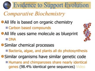 Comparative Biochemistry All life is based on organic chemistry Carbon based compounds All life uses same molecule as blueprint  DNA Similar chemical processes Bacteria, algae, and plants all do photosynthesis Similar organisms have similar genetic code Humans and chimpanzees share nearly identical genes  (98.4% identical gene sequences)  Video Evidence to Support Evolution 