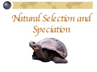 Natural Selection and Speciation 