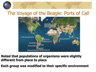 The Voyage of the Beagle: Ports of Call Noted that populations of organisms were slightly different from place to place Each group was modified to their specific environment 