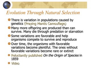 Evolution Through Natural Selection There is variation in populations caused by genetics  (Praying Mantis Camouflage) Many more offspring are produced than can survive. Many die through predation or starvation Some variations are favorable and help organisms compete to survive and reproduce Over time, the organisms with favorable variations become plentiful. The ones without favorable variations become rare or extinct Reluctantly published  On the Origin of Species  in 1859 Video 