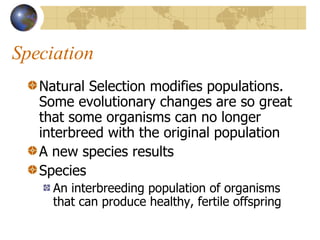 Speciation Natural Selection modifies populations. Some evolutionary changes are so great that some organisms can no longer interbreed with the original population A new species results Species An interbreeding population of organisms that can produce healthy, fertile offspring 