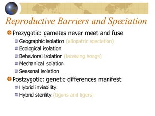 Reproductive Barriers and Speciation Prezygotic: gametes never meet and fuse Geographic isolation  (allopatric speciation) Ecological isolation Behavioral isolation  (lacewing songs) Mechanical isolation Seasonal isolation Postzygotic: genetic differences manifest Hybrid inviability Hybrid sterility  ( tigons  and ligers) 