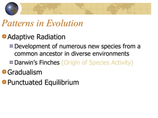 Patterns in Evolution Adaptive Radiation Development of numerous new species from a common ancestor in diverse environments Darwin’s Finches  (Origin of Species Activity) Gradualism Punctuated Equilibrium 