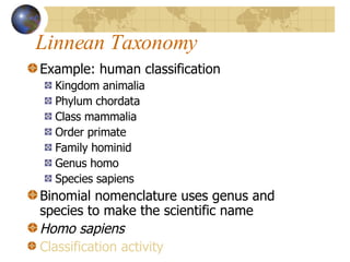 Linnean Taxonomy Example: human classification Kingdom animalia Phylum chordata Class mammalia Order primate Family hominid Genus homo Species sapiens Binomial nomenclature uses genus and species to make the scientific name Homo sapiens Classification activity 