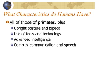 What Characteristics do Humans Have? All of those of primates, plus Upright posture and bipedal Use of tools and technology Advanced intelligence Complex communication and speech 