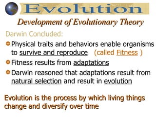 Development of Evolutionary Theory Darwin Concluded: Physical traits and behaviors enable organisms to  survive and reproduce   (called  Fitness  ) Fitness results from  adaptations Darwin reasoned that adaptations result from  natural selection  and result in  evolution Evolution Evolution is the process by which living things change and diversify over time 