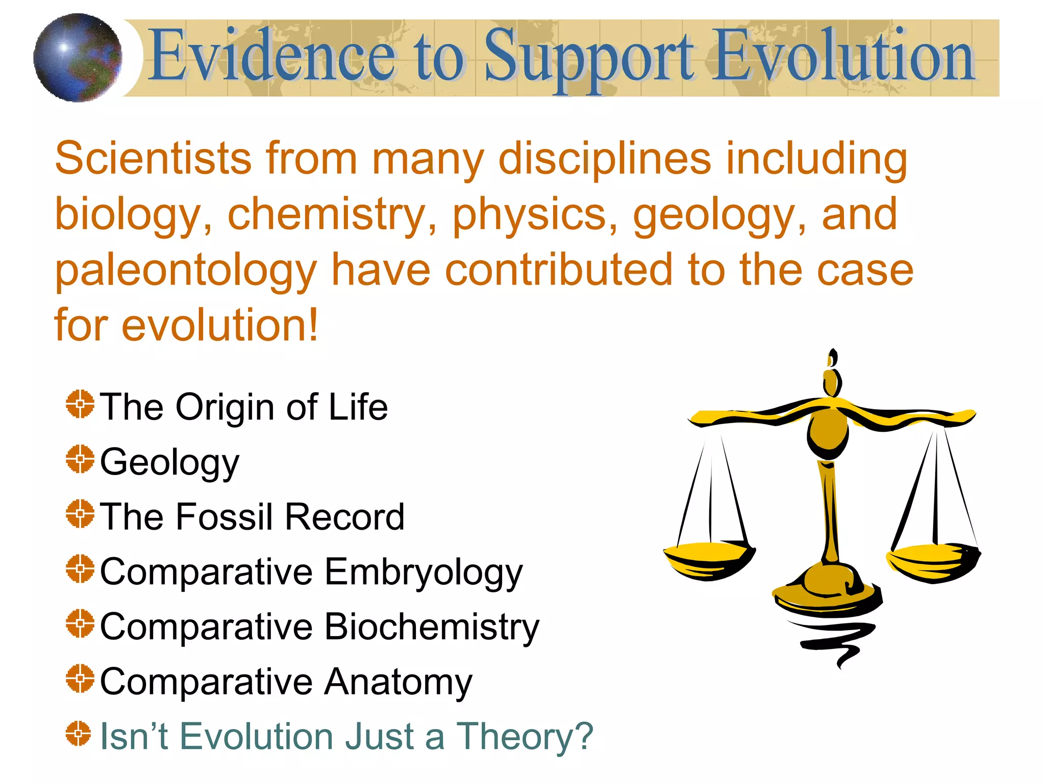 Evidence of Evolution | PPT