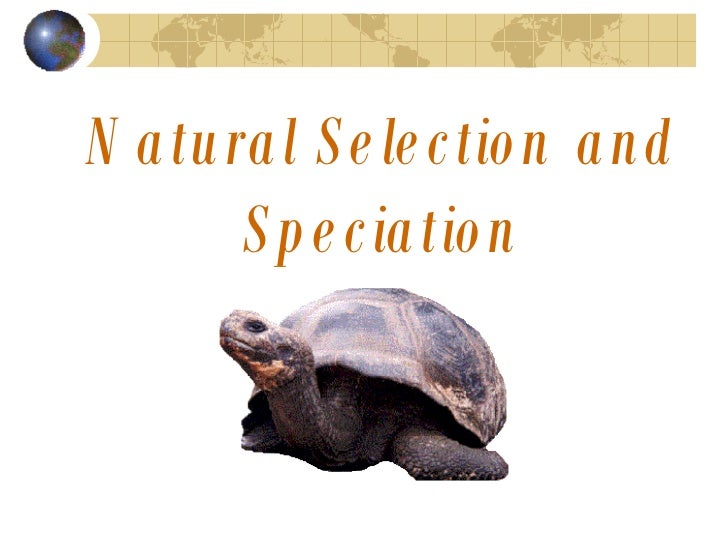 Evolution, Natural Selection, and Speciation