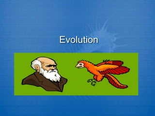 Evolution
 