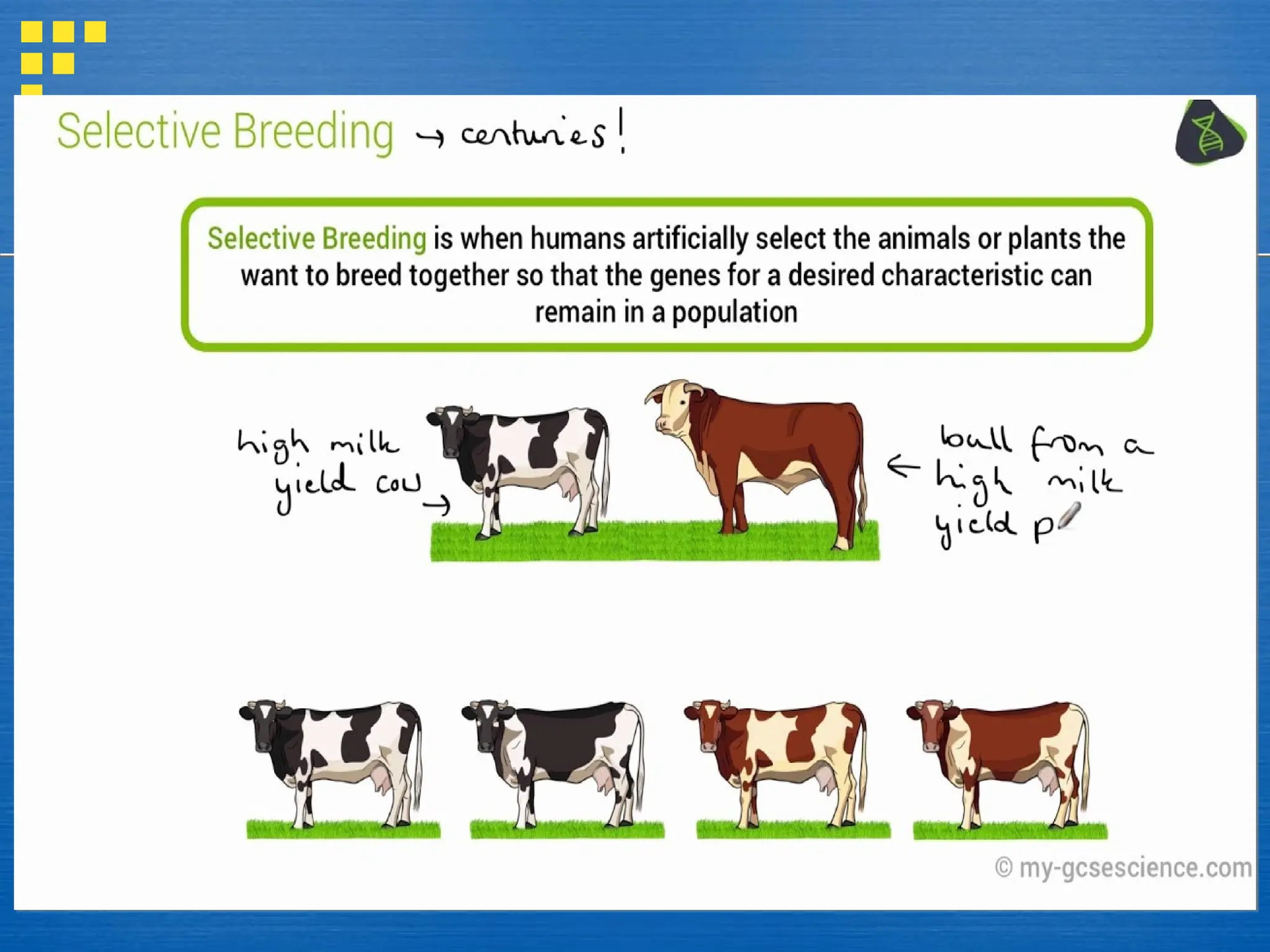 Biology Evolution and Natural Selection.ppt