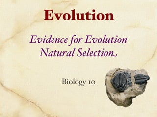 Evolution
Evidence for Evolution
  Natural Selection

       Biology 10"
 