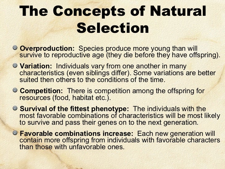 Difference Between Natural Selection And Descent With Modification Difference Between Natural Selection And Descent With Modification