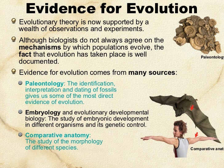 The story of human evolution has just been rewritten (again) Evolution-natural-selection2011-3-728