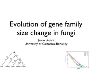 Evolution of gene family
                      size change in fungi
                                                               Jason Stajich
                                                     University of California, Berkeley
                                Gene family evolution

                                                                                                                10000
                                                                                                                                          N.crassa
                                                                                                                                          A.gossypii
                                                                                                                                          R.oryzae
                                                                                                                                          A.oryzae
                                                                                                                                          A.terreus
                                                                                                                                          C.cinereus
                                                                                                                                          U.maydis
                                                                                                                 1000




                                                                                     Frequency of Family size
                                                                                                                  100




                                                                                                                  10




                                                                                                                   1
                                                                                                                        1      10                      100
. The phylogenetic tree. Branch lengths t are given in millions                                                             Family size