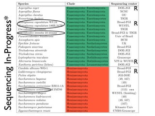 Evolution of gene family size change in fungi | PDF