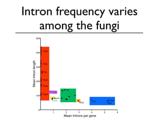 Evolution of gene family size change in fungi | PDF