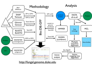 Evolution of gene family size change in fungi | PDF