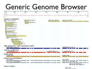 Evolution of gene family size change in fungi | PDF