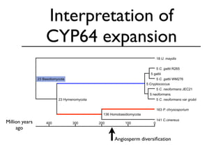 Evolution of gene family size change in fungi | PDF