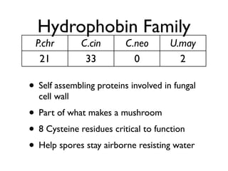 Evolution of gene family size change in fungi | PDF