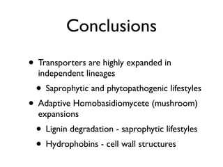 Evolution of gene family size change in fungi | PDF