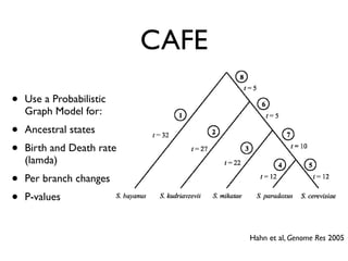 Evolution of gene family size change in fungi | PDF