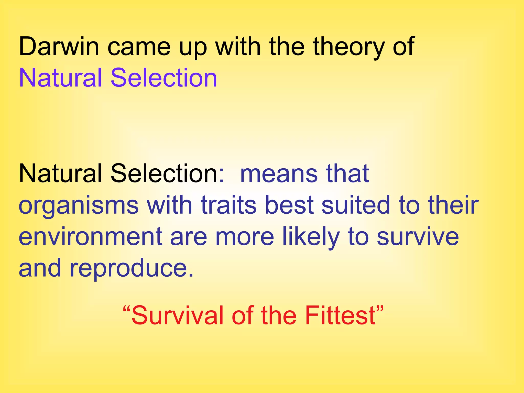 Darwin came up with the theory of  Natural Selection Natural Selection :  means that organisms with traits best suited to their environment are more likely to survive and reproduce. “ Survival of the Fittest” 