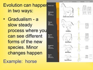 Evolution Power Point | PPT