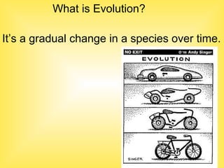 Slide Gradual Evolution Evolution Power Point | PPT