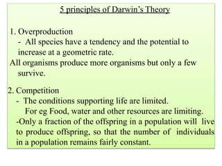 5 principles of Darwin’s Theory
1. Overproduction
- All species have a tendency and the potential to
increase at a geometric rate.
All organisms produce more organisms but only a few
survive.
2. Competition
- The conditions supporting life are limited.
For eg Food, water and other resources are limiting.
-Only a fraction of the offspring in a population will live
to produce offspring, so that the number of individuals
in a population remains fairly constant.
 