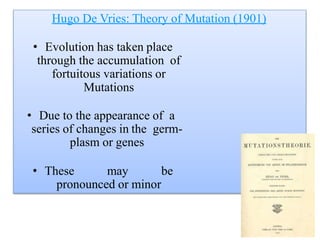 Hugo De Vries: Theory of Mutation (1901)
• Evolution has taken place
through the accumulation of
fortuitous variations or
Mutations
• Due to the appearance of a
series of changes in the germ-
plasm or genes
• These may be
pronounced or minor
 