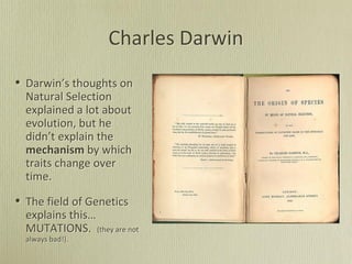 Charles Darwin
• Darwin’s thoughts on
Natural Selection
explained a lot about
evolution, but he
didn’t explain the
mechanism by which
traits change over
time.
• The field of Genetics
explains this…
MUTATIONS. (they are not
always bad!).
 