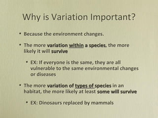 Why is Variation Important?
• Because the environment changes.
• The more variation within a species, the more
likely it will survive
• EX: If everyone is the same, they are all
vulnerable to the same environmental changes
or diseases
• The more variation of types of species in an
habitat, the more likely at least some will survive
• EX: Dinosaurs replaced by mammals
 