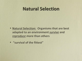 Natural Selection
• Natural Selection: Organisms that are best
adapted to an environment survive and
reproduce more than others
• “survival of the fittest”
 