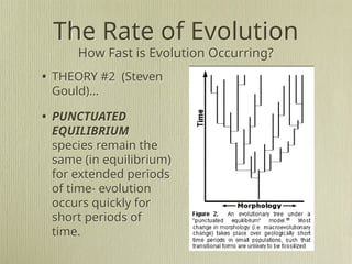 evolution-basics-humans and animals in general | PPT