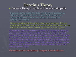 Darwin’s Theory
► Darwin's theory of evolution has four main parts:
Organisms have changed over time, and the ones living today are
different from those that lived in the past. Furthermore, many
organisms that once lived are now extinct. The world is not
constant, but changing.
All organisms come from common ancestors by a process of branching.
Over time, populations split into different species, which are related
because they are descended from a common ancestor. Thus, if one goes
far enough back in time, any pair of organisms has a common ancestor.
This explained the similarities of organisms that were classified together -
- they were similar because of shared traits inherited from their common
ancestor. It also explained why similar species tended to occur in the
same geographic region.
Change is gradual and slow, taking place over a long time. This was
supported by the fossil record, and was consistent with the fact that no
naturalist had observed the sudden appearance of a new species.
The mechanism of evolutionary change is natural selection.
 