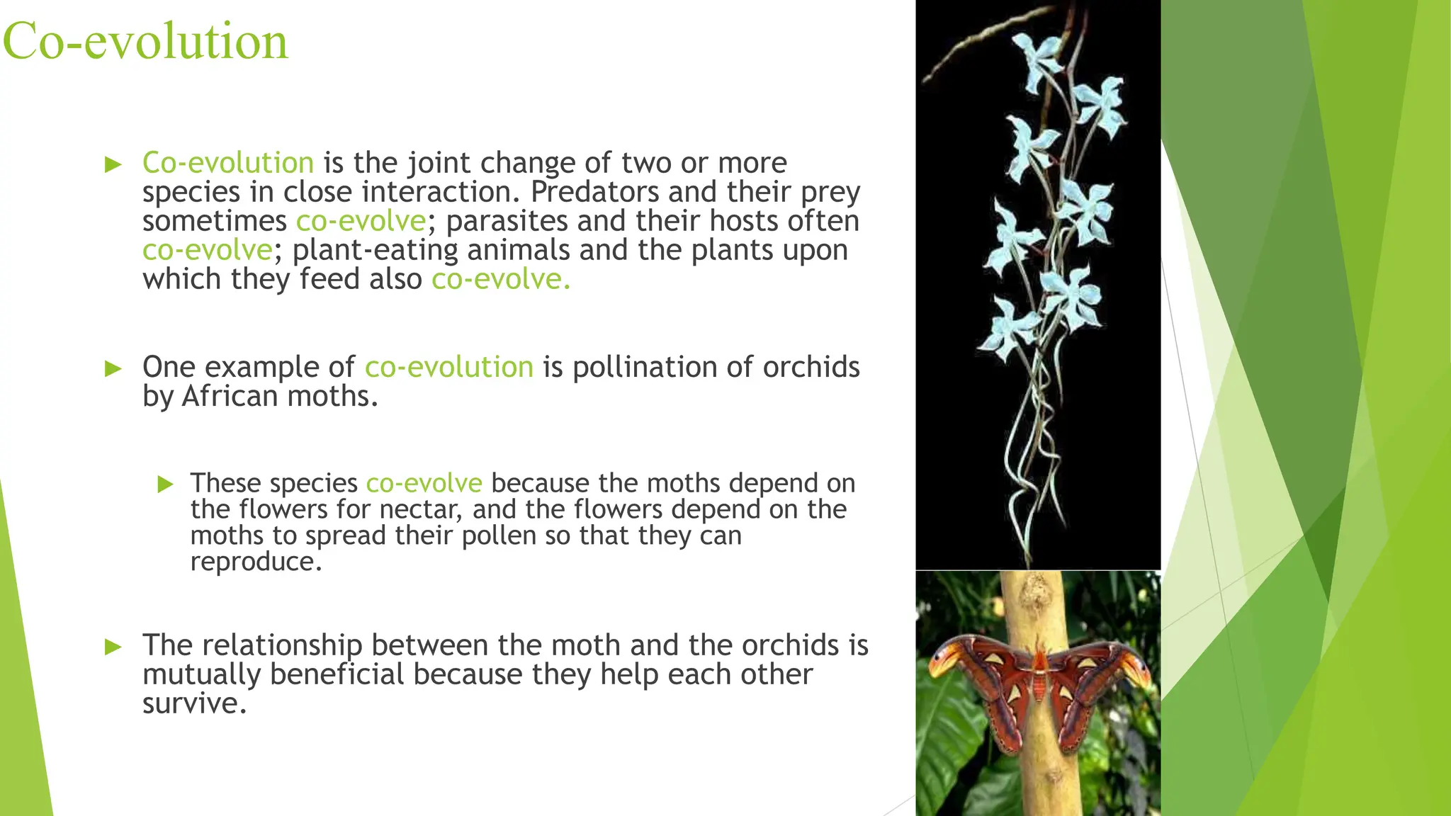 Co-evolution
► Co-evolution is the joint change of two or more
species in close interaction. Predators and their prey
sometimes co-evolve; parasites and their hosts often
co-evolve; plant-eating animals and the plants upon
which they feed also co-evolve.
► One example of co-evolution is pollination of orchids
by African moths.
 These species co-evolve because the moths depend on
the flowers for nectar, and the flowers depend on the
moths to spread their pollen so that they can
reproduce.
► The relationship between the moth and the orchids is
mutually beneficial because they help each other
survive.
 