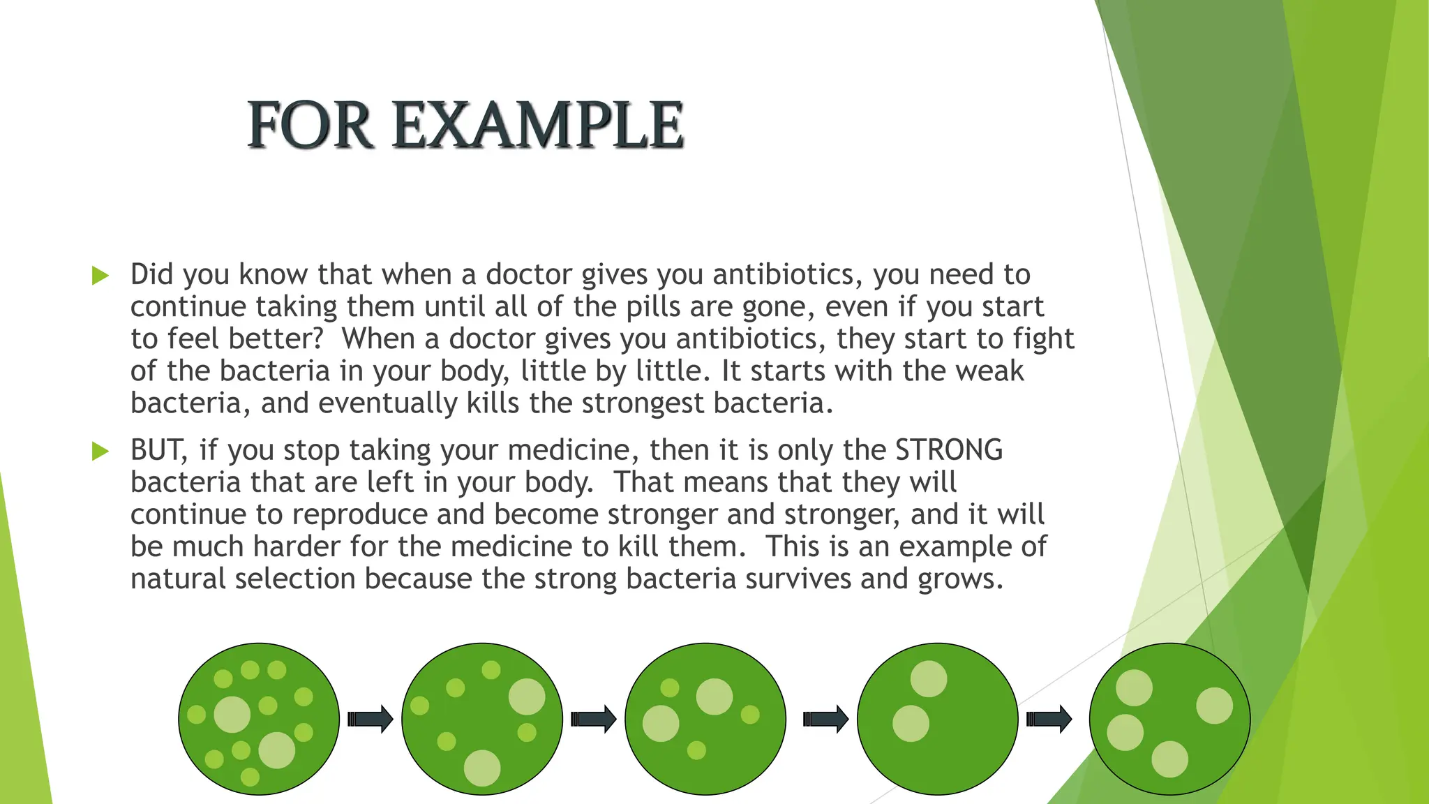  Did you know that when a doctor gives you antibiotics, you need to
continue taking them until all of the pills are gone, even if you start
to feel better? When a doctor gives you antibiotics, they start to fight
of the bacteria in your body, little by little. It starts with the weak
bacteria, and eventually kills the strongest bacteria.
 BUT, if you stop taking your medicine, then it is only the STRONG
bacteria that are left in your body. That means that they will
continue to reproduce and become stronger and stronger, and it will
be much harder for the medicine to kill them. This is an example of
natural selection because the strong bacteria survives and grows.
FOR EXAMPLE
 