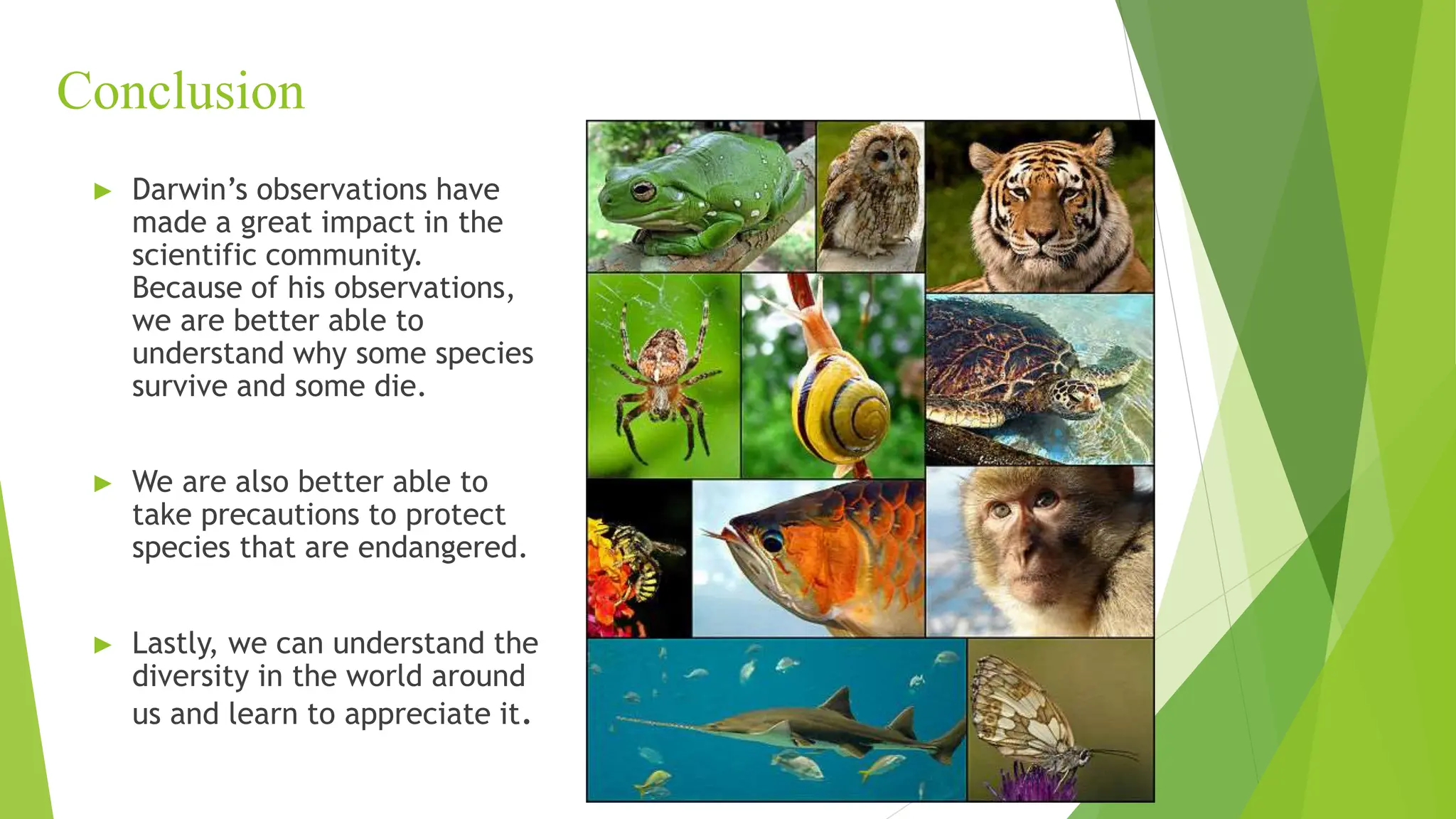 Conclusion
► Darwin’s observations have
made a great impact in the
scientific community.
Because of his observations,
we are better able to
understand why some species
survive and some die.
► We are also better able to
take precautions to protect
species that are endangered.
► Lastly, we can understand the
diversity in the world around
us and learn to appreciate it.
 