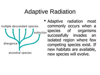 Adaptive Radiation
Adaptive radiation most
commonly occurs when a
species of organisms
successfully invades an
isolated region where few
competing species exist. If
new habitats are available,
new species will evolve.
 