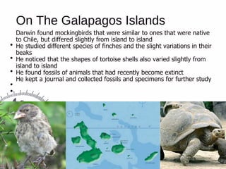 On The Galapagos Islands
Darwin found mockingbirds that were similar to ones that were native
to Chile, but differed slightly from island to island
He studied different species of finches and the slight variations in their
beaks
He noticed that the shapes of tortoise shells also varied slightly from
island to island
He found fossils of animals that had recently become extinct
He kept a journal and collected fossils and specimens for further study
 
