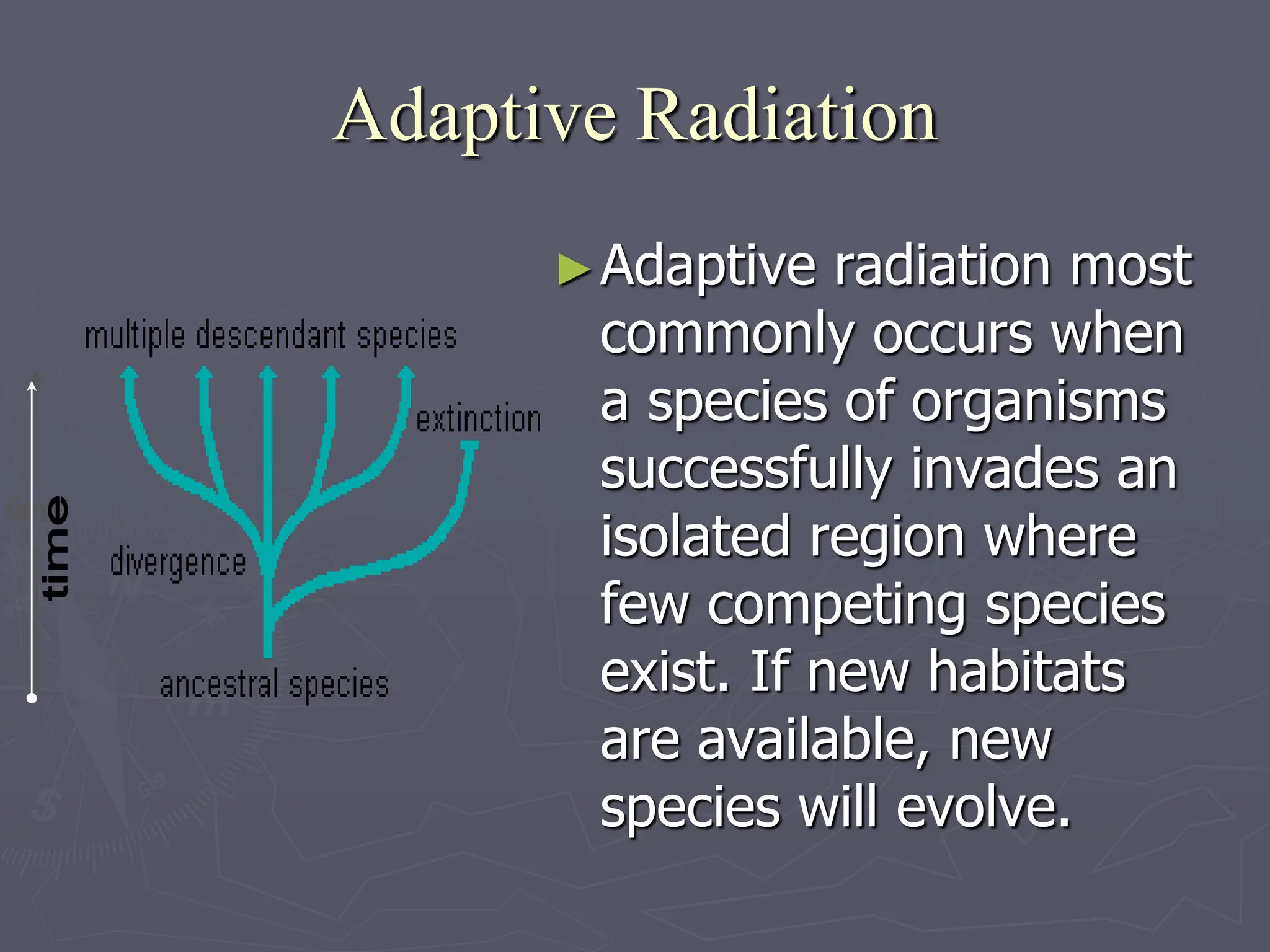 Adaptive Radiation
►Adaptive radiation most
commonly occurs when
a species of organisms
successfully invades an
isolated region where
few competing species
exist. If new habitats
are available, new
species will evolve.
 
